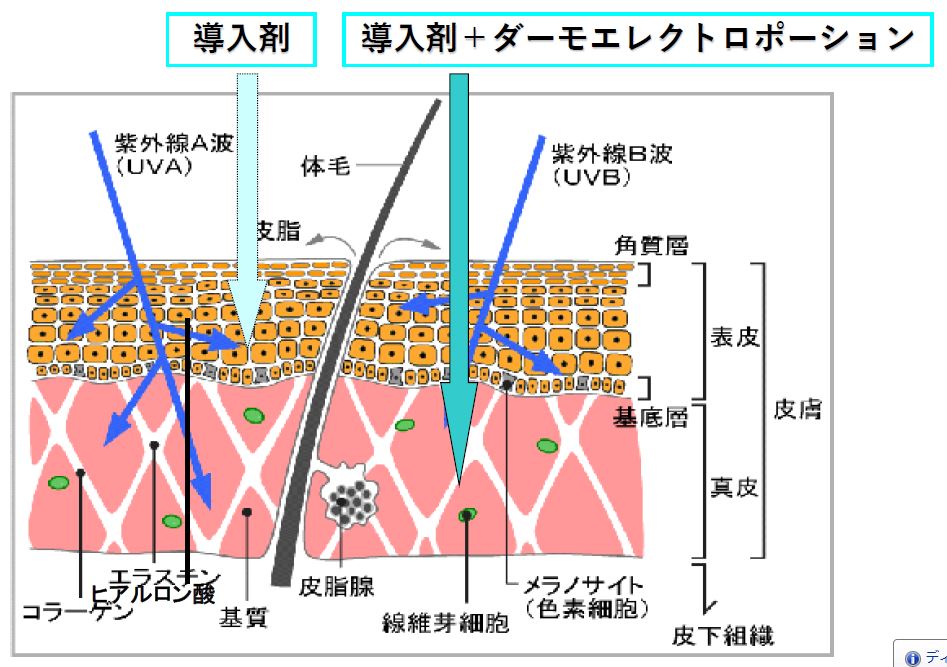 ARTPLE Plasma & Galvanic & Roller