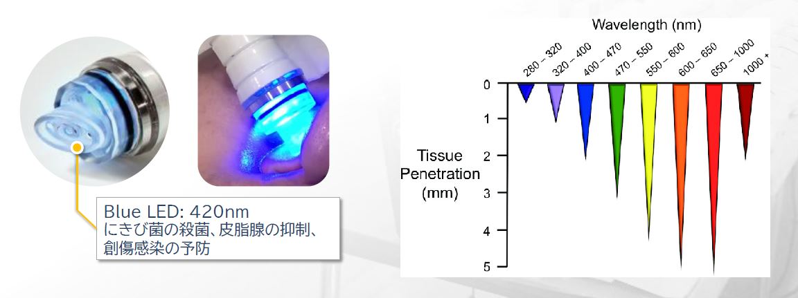 pulicious ԡ+Eݥ졼+LED+֥饷