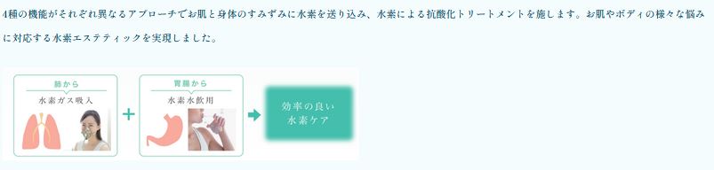 水素吸入 H2 REBORN home 家庭用 高濃度 水素生成マシン