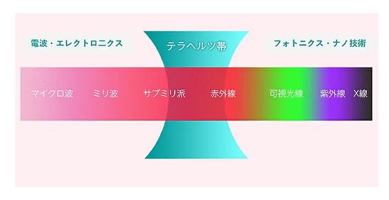 D-COOL HOT＆COOL テラヘルツ波 エレクトロポレーション フェイシャル・バストケア