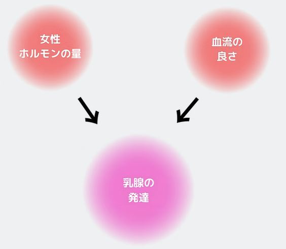 D-COOL HOT＆COOL テラヘルツ波 エレクトロポレーション フェイシャル・バストケア